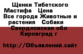 Щенки Тибетского Мастифа › Цена ­ 90 000 - Все города Животные и растения » Собаки   . Свердловская обл.,Кировград г.